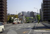 46 cR牺ʂՂ