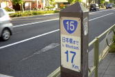 67 W R15EPV