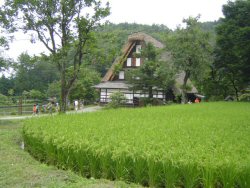 N23