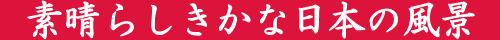 f炵ȓ{̕i